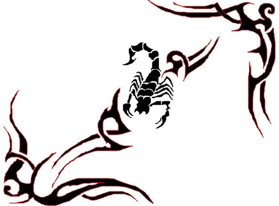 little scorpion