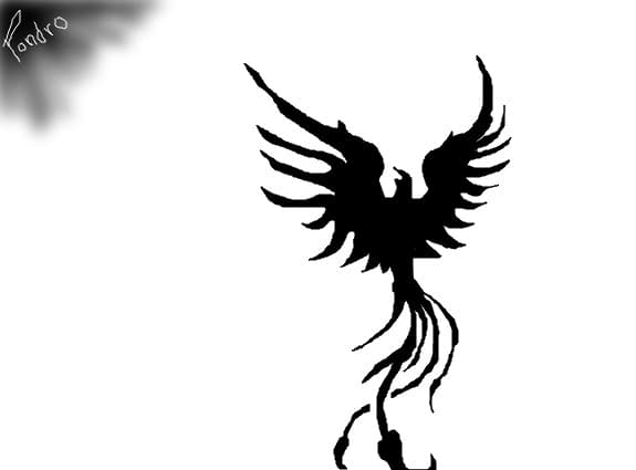 black bird