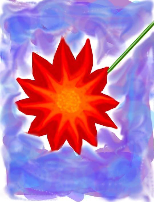 o floare