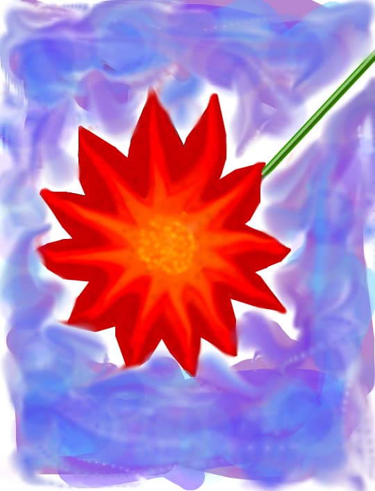 o floare