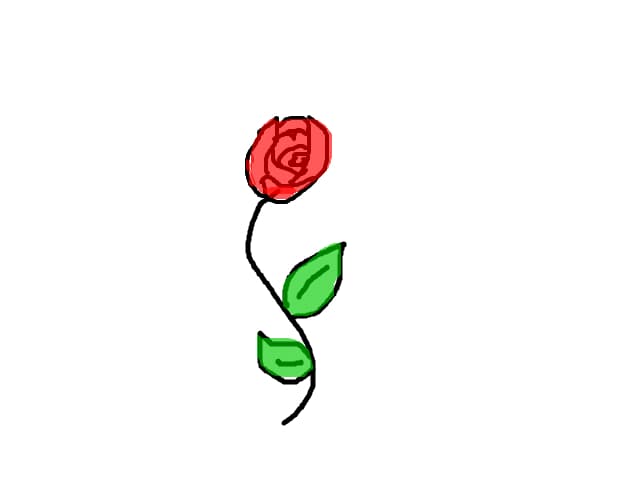 rose