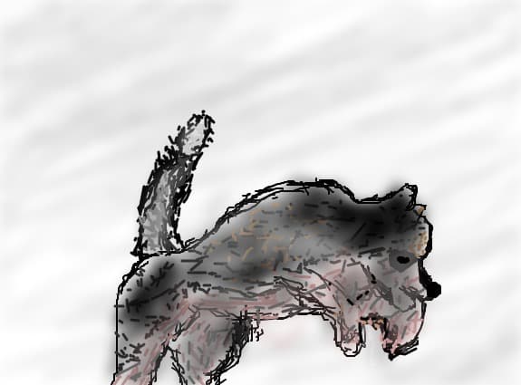 Husky