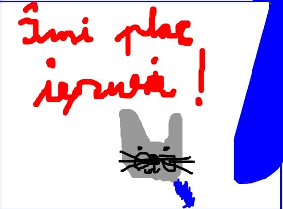Pisisi20