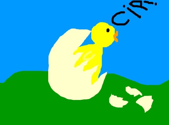 PUISOR