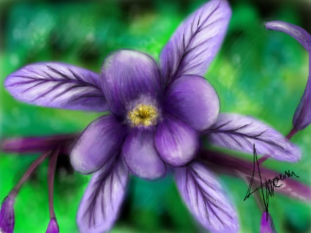 "Flower" - For DydyRok