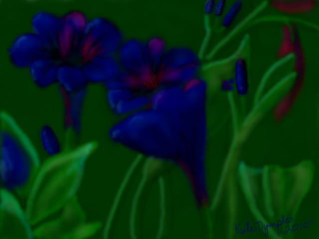 Purple Flowers