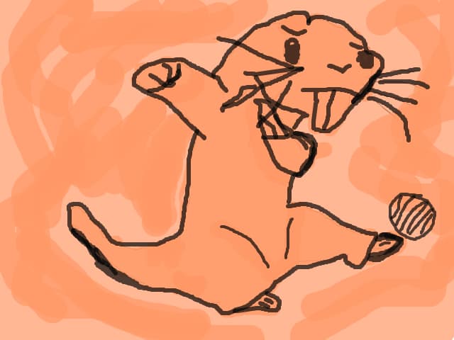 Rufus