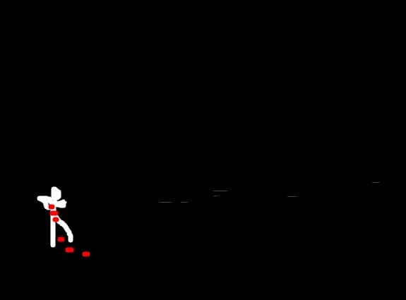 animatii