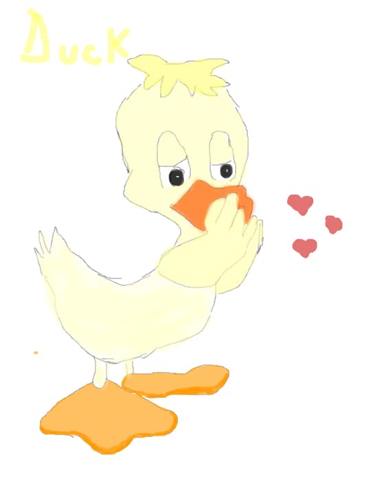 duck