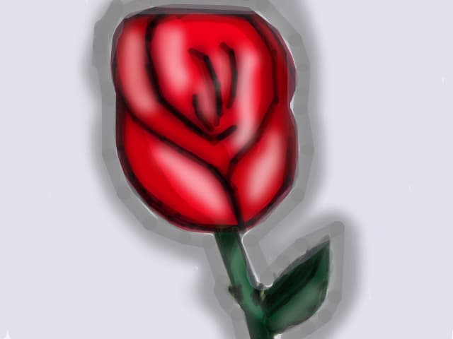 Rose,for you