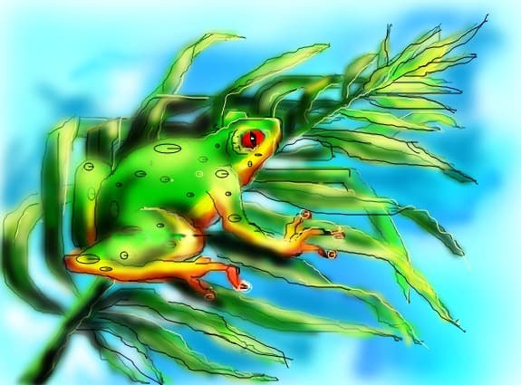 franiuc