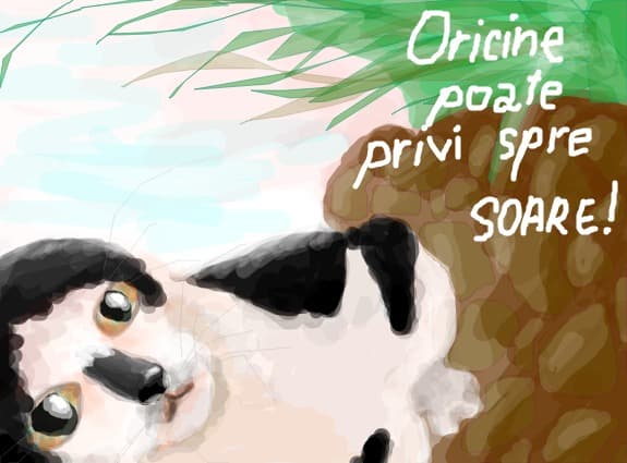 Oricine poate privi spre SOARE!