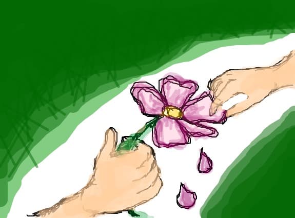 flower....