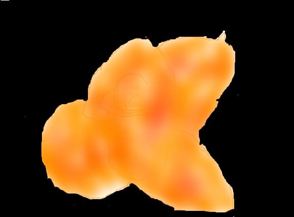 trandafir