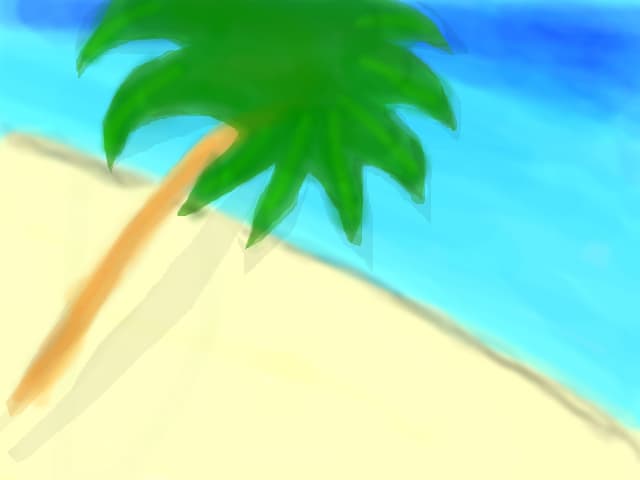 Beach ;x