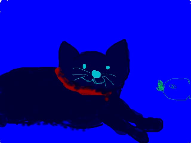 cat &amp; fish