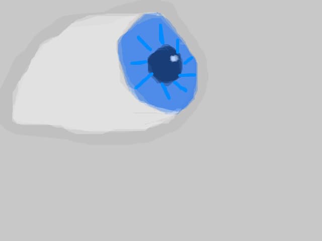 eye