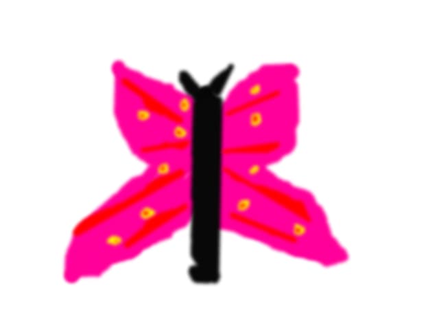 butterfly