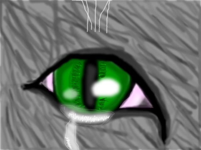pets can cry too