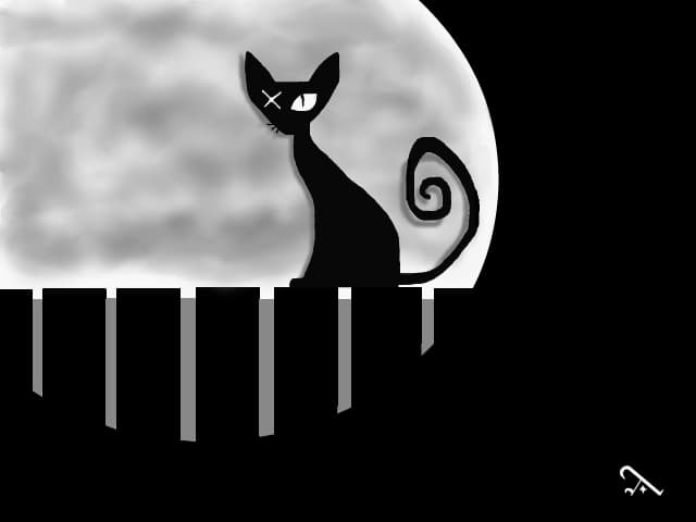 one eye cat