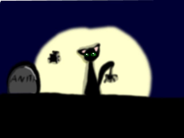 a cat in the moon