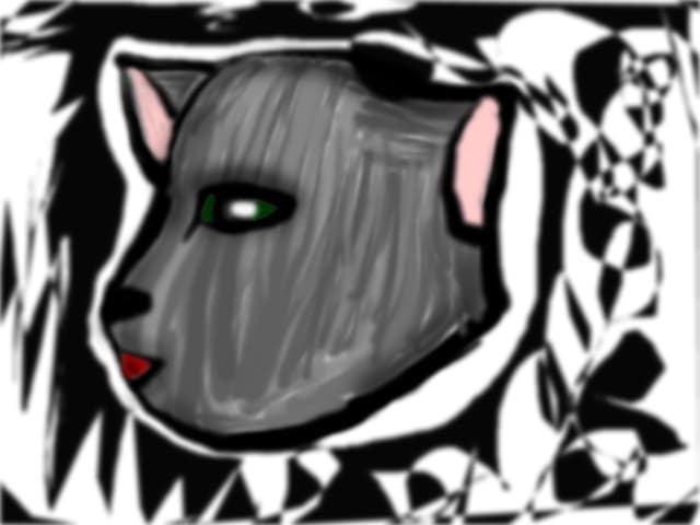 kat cat