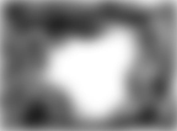 poligoane