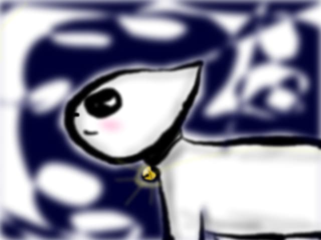 kitty