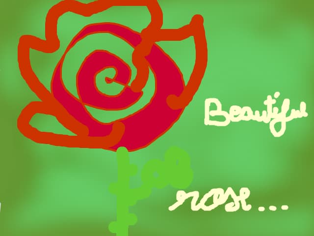 Beautiful rose-Trandafir