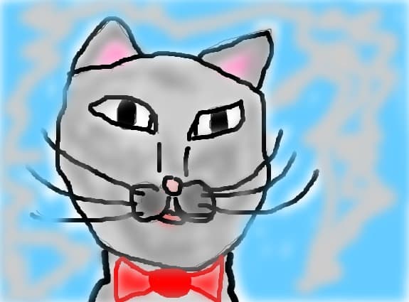 cat