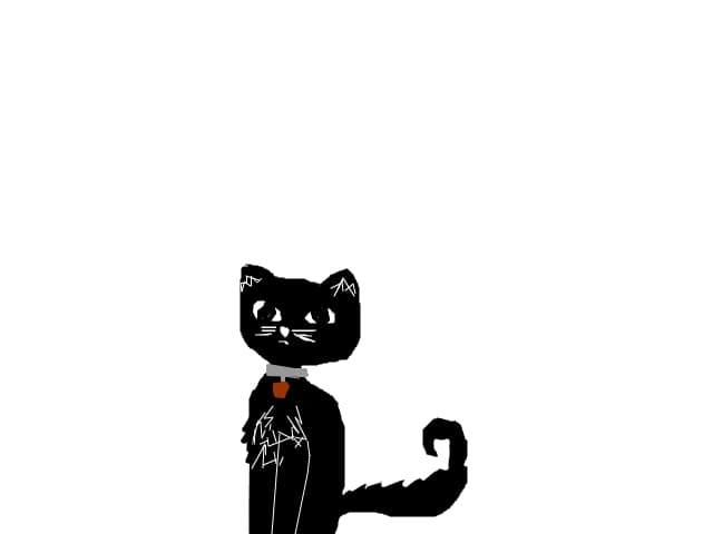 cat