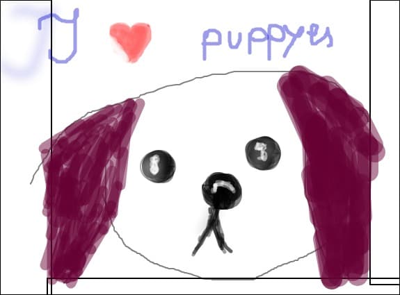 puppy