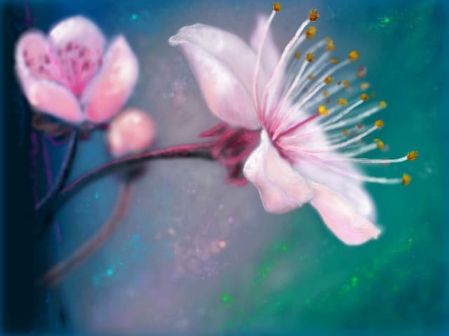 Looking at flowers