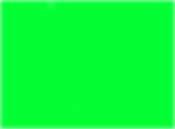 camp cu flori