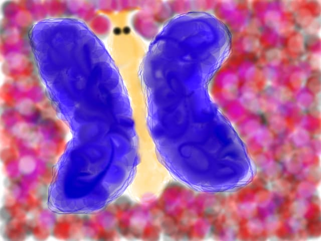 fluture