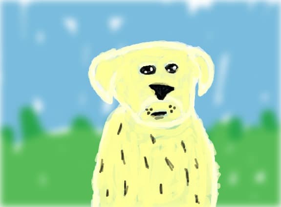 ...Cute Puppy...