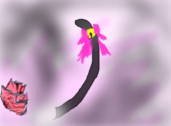 coada de mew mew