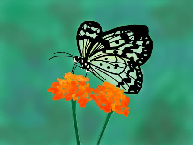 fluture