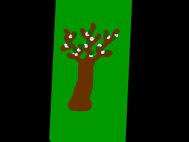 copac inflorit