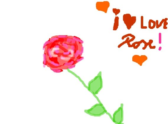Rose