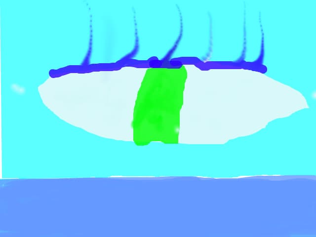un ochi