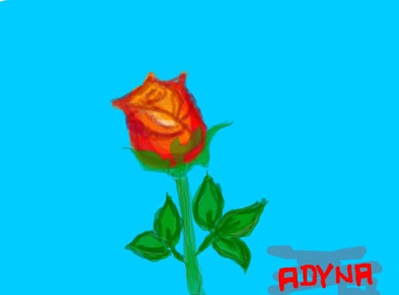 Adyna