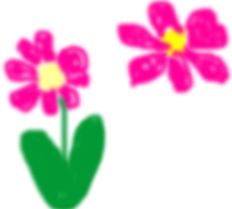 FLOARE