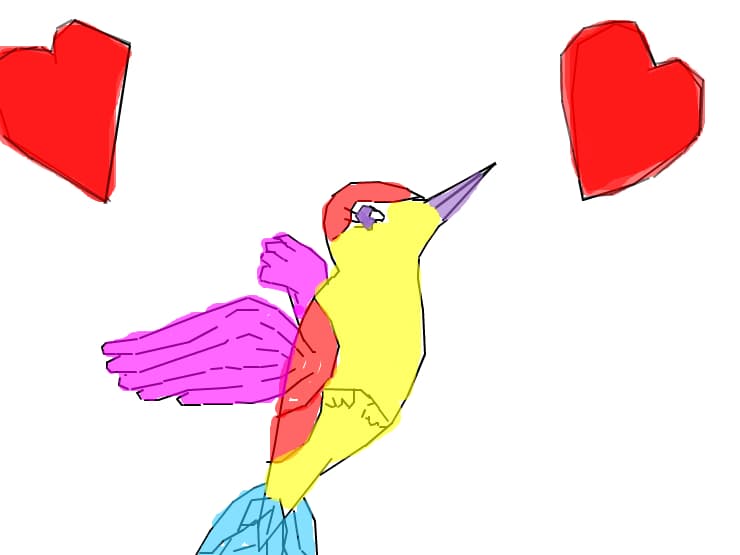 pasare colibri