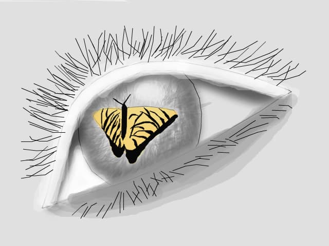 i see only you,my dear butterfly