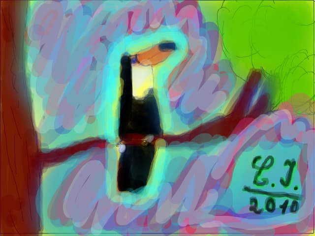 tucan