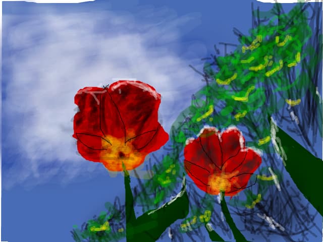 Tulips