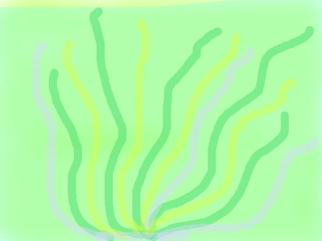 alge