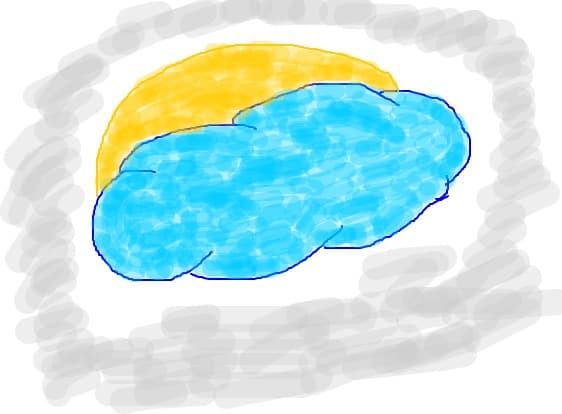 nor
