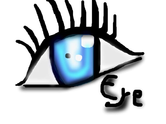 Eye